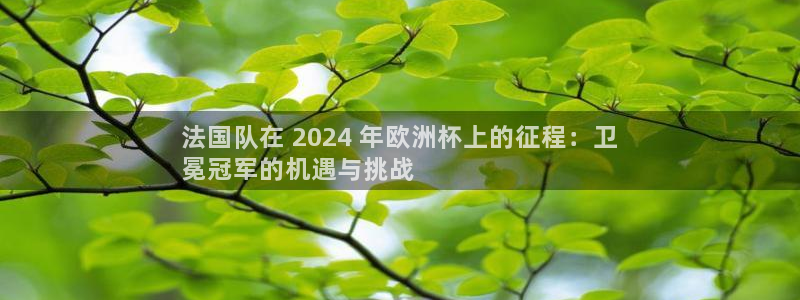 欧洲杯线上买球|法国队在 2024 年欧洲杯上的征程：卫
冕冠军的机遇与挑战