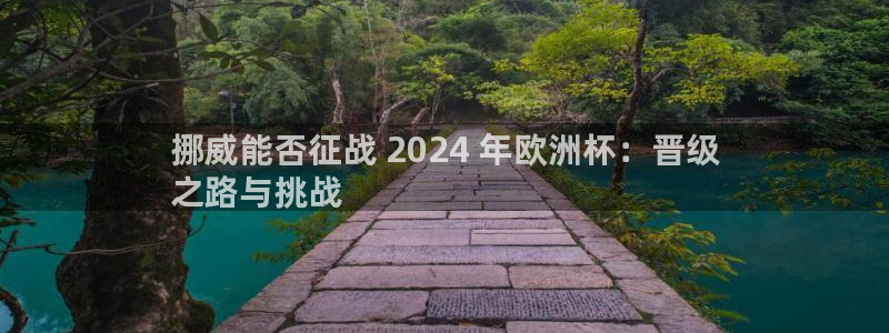 买欧洲杯的竞猜在那个app|挪威能否征战 2024 年欧洲杯：晋级
之路与挑战