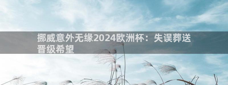 2024年欧洲杯投注