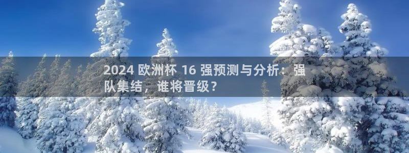 2024正规欧洲杯平台|2024 欧洲杯 16 强预测与分析：强
队集结，谁将晋级？