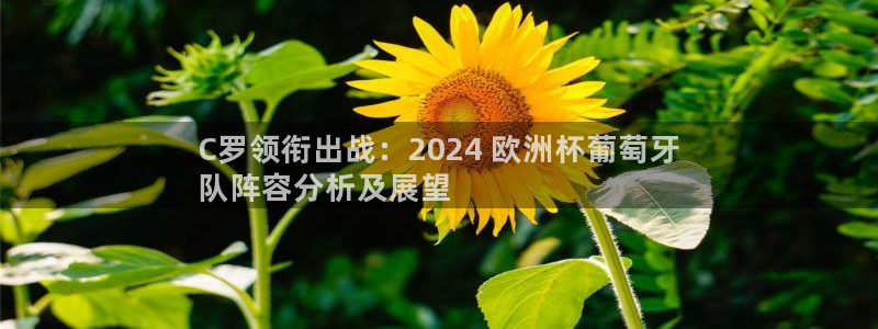 欧洲杯买注在哪买|C罗领衔出战：2024 欧洲杯葡萄牙
队阵容分析及展望