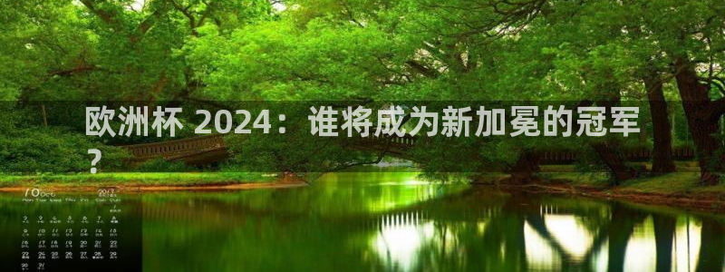 欧洲杯决赛彩票网上购买|欧洲杯 2024：谁将成为新加冕的冠军
？