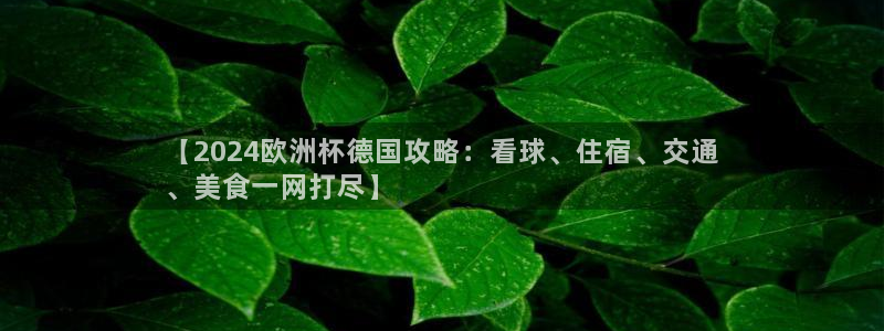 欧洲杯下单平台官方网站|【2024欧洲杯德国攻略：看球、住宿、交通
、美食一网打尽】