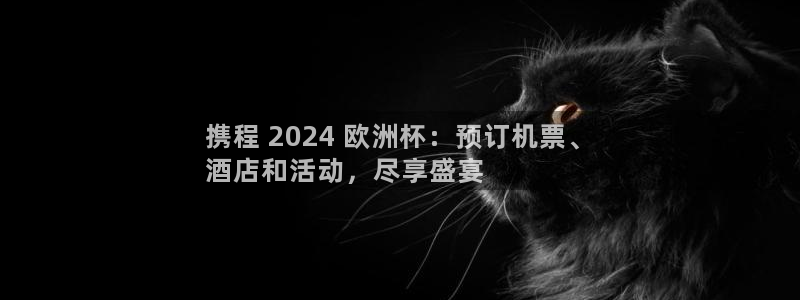 2024正规欧洲杯平台